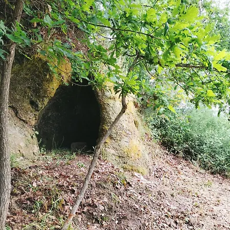 Villa Quinta De Sabarigos Marco de Canavezes