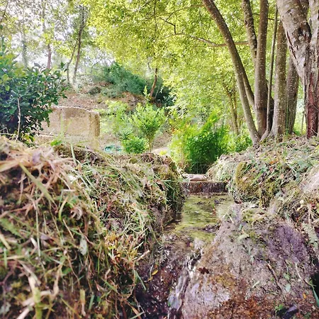 Quinta De Sabarigos
